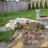 gallery thumb image