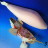 gallery thumb image