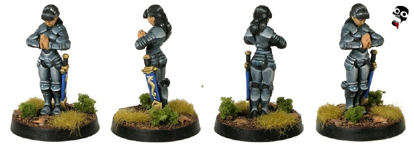 Tiriel Paladin in chrome armour from Hasslefree Miniatures painted by Neldoreth - An Hour of Wolves & Shattered Shields