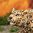 gallery thumb image