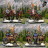 gallery thumb image