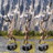 gallery thumb image