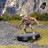 gallery thumb image