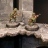 gallery thumb image