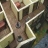 gallery thumb image